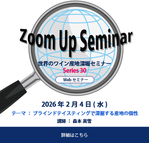 ズームアップセミナー30